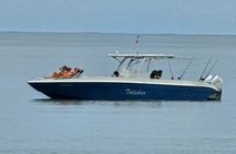 Private Fishing & Island Hopping – 38ft Speedboat | Pearl Islands