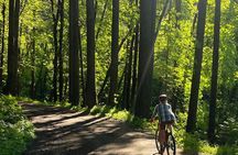 Forest Park Carbon Gravel Bike and E-Bike Tour