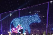 Christmas Lights with Theme Vehicle Tour in Medellin City