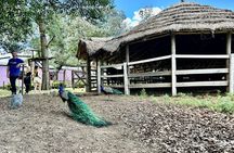 Gaucha Party with Meals and Activities in Buenos Aires