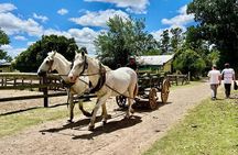 Gaucha Party with Meals and Activities in Buenos Aires