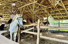 Gaucha Party with Meals and Activities in Buenos Aires