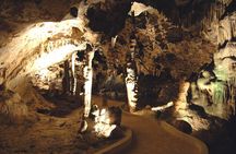 Exclusive 4 -Hour Private nature Tour: West Curacao's Best