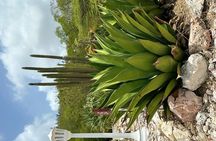 Exclusive 4 -Hour Private nature Tour: West Curacao's Best