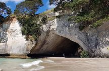 Coromandel Cathedral Cove Walk & Hot Water Beach Day Tour