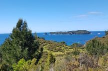 Coromandel Cathedral Cove Walk & Hot Water Beach Day Tour