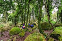 Boulders Scenic Float Tour on the Rangitikei River