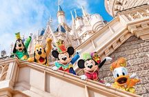 Tokyo Disneyland 1 Day Admission Ticket with Pick up