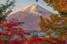 Mount Fuji Day Tour:Scenic Lakes,Village, Pagoda,Oshino Hakkai 