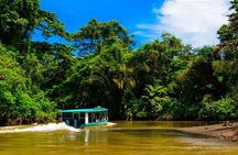 Puerto Limon Sloth Lovers and Tortuguero Canal Adventure