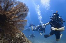 Fun Dive on Racha Islands for Certified Divers Only