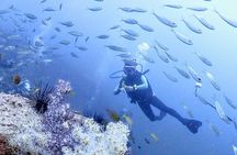  Phuket Scuba Diving Tour with Transportation