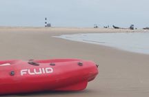 Seal Kayaking & Sandwich Harbour Tour 