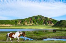 Fukuoka: Mount Aso Volcano, Kumamoto Castle, Grasslands Day Tour