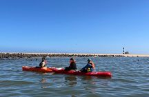 Seal Kayaking & Sandwich Harbour Tour 