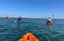 Seal Kayaking & Sandwich Harbour Tour