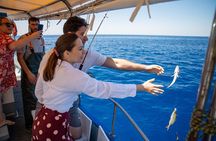 Sfakia Fishing Trip Daytime