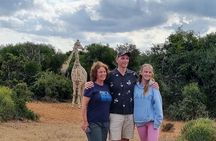 Full Day Addo And Giraffe Walk