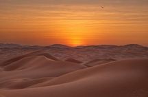 Desert Overnight in Private Bedouin Tent