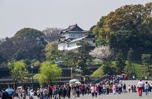 Full Tokyo: Meiji Shrine, Imperial Palace, Asakusa & Skytree