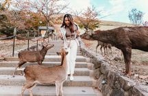 Discover Nara Park, Kyoto Highlights and Fushimi Inari from Osaka