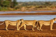 3 Days Samburu National Reserve Private Safari Package