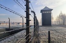 Private Guided Tour to Auschwitz & Birkenau from Krakow