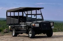  Full Day Kruger Safari Tour from Malelane and Komatipoort