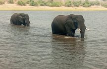 3 Day Exploration at Victoria Falls and Hwange National Park