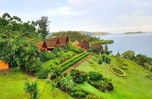 3-Day Chimpanzee Safari in Nyungwe & Lake Kivu Sunset Boat Cruise