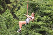 Zip-Line /Monkey and Sloth Sanctuary /west beach 