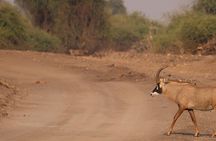 4 Day Victoria Falls, Hwange and Chobe National Park