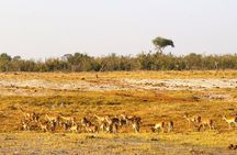 4 Day Victoria Falls, Hwange and Chobe National Park