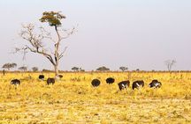 4 Day Victoria Falls, Hwange and Chobe National Park