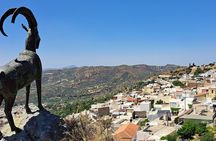 Full Day Private Tour in Heraklion Archaeological Sites