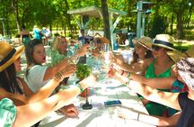 6 to 11 Guests Fredericksburg Private Van 5 hour Wine Tour
