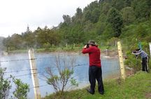 Janitzio island & Patzcuaro express Tour 