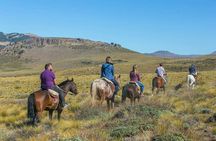 Bariloche Horseback Riding in the Patagonian Steppe with Argentine Roast