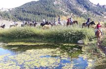 Bariloche Horseback Riding in the Patagonian Steppe with Argentine Roast