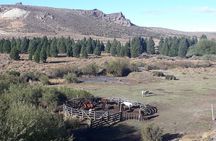 Bariloche Horseback Riding in the Patagonian Steppe with Argentine Roast