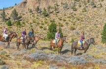 Bariloche Horseback Riding in the Patagonian Steppe with Argentine Roast