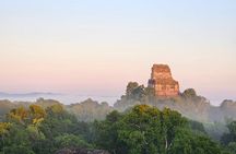 Tikal from the Airport and Flowers with Lunch and Expert Guide