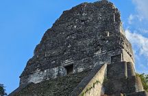 Tikal from the Airport and Flowers with Lunch and Expert Guide