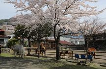 Horseback Archery Experience with Mt. Fuji Views