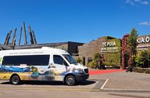 Waitomo Caves & Rotorua + Te Puia Small-Group Tour from Auckland