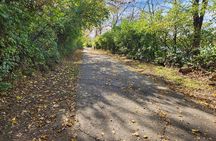 3.25-Hour Wilmington E-Bike Airlie Gardens Self/Or Guided Tour 