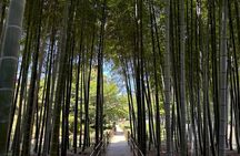 Hiroshima’s Heart: A 4-Hour Private Storytelling Walk