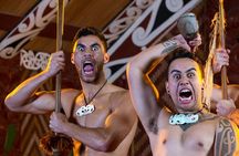 Haka to Waves PRIVATE Auckland West Coast Journey