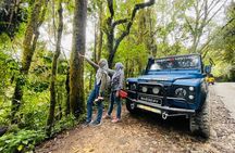 Full Day Mossy Forest Experience