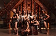 Haka to Waves PRIVATE Auckland West Coast Journey